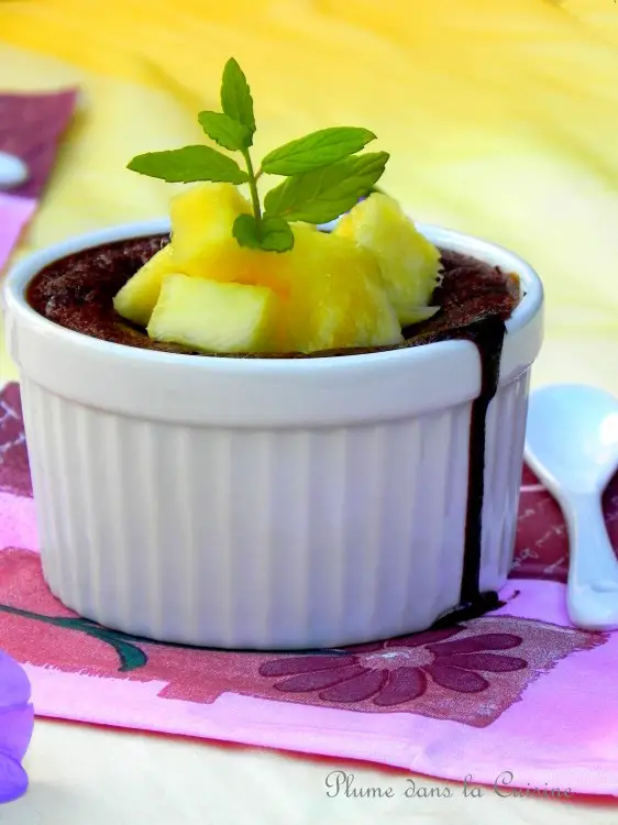 Moelleux Au Chocolat Ananas Menthe Sans Gluten Une Plume Dans La Cuisine