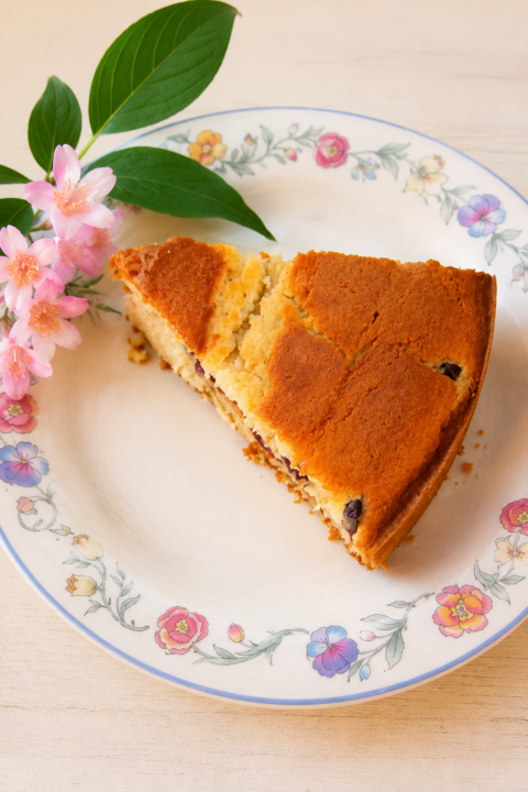 Part de gâteau moelleux aux cerises, à la texture fondante, photographiée sur une assiette décorée de motifs floraux.