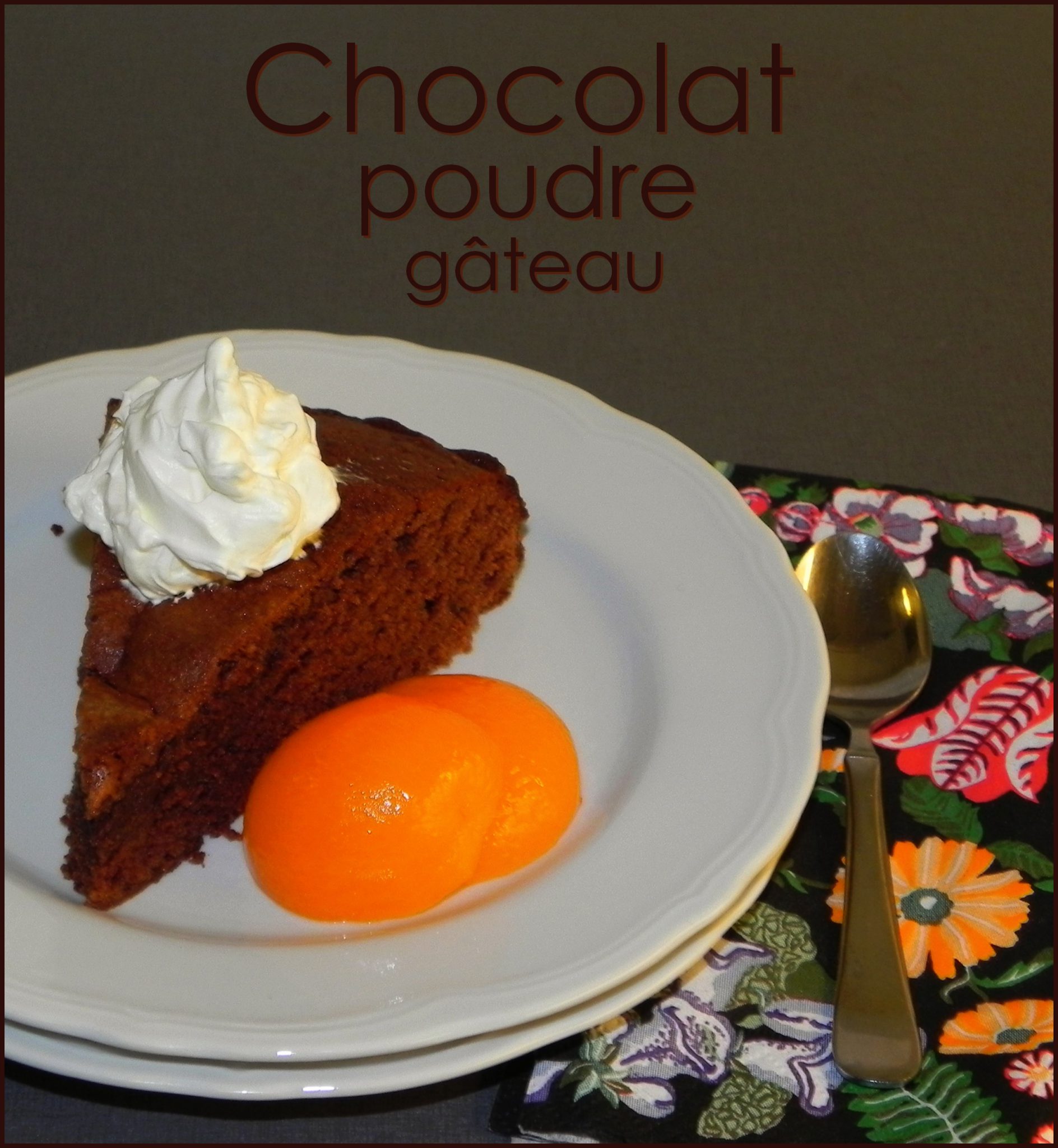 Gâteau-chocolat-en-poudre-moelleux