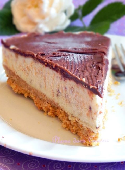 Cheesecake-glacé-banane-chocolat