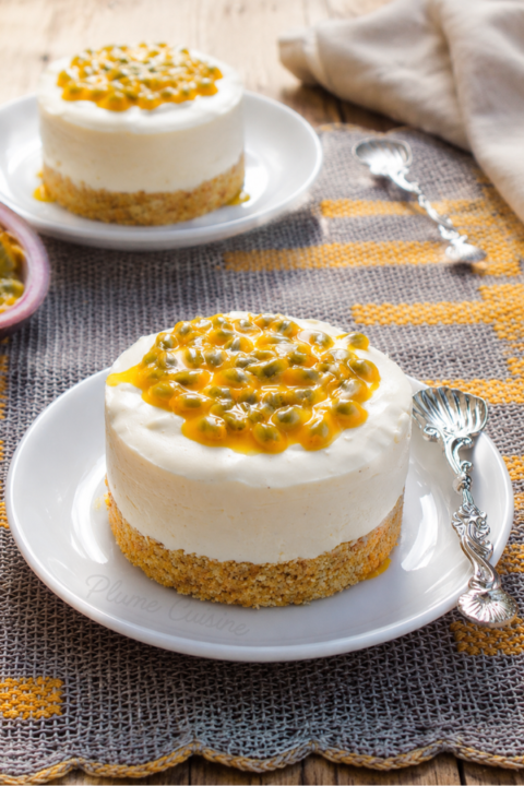 Deux petits entremets mousse au yaourt vanille et passion