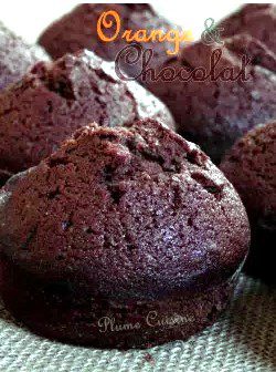 Muffins-chocolat-poudre