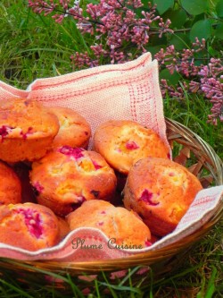 Muffins-mangue-framboises