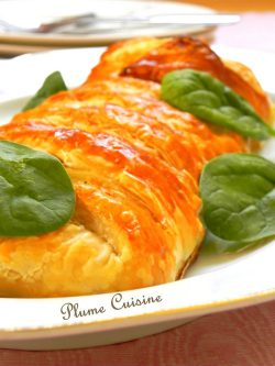 Feuilleté-tressé-jambon-mozzarella