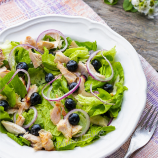 Belle assiette de salade de poulet et myrtilles