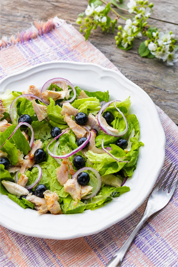 Belle assiette de salade de poulet et myrtilles