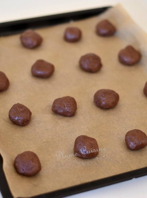 Recette-biscuits-au-chocolat-faciles