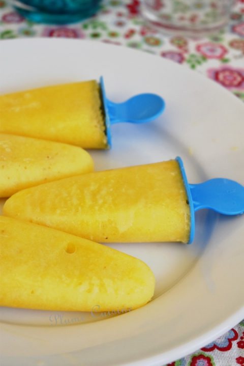 Sucette-glacée-banane-orange-ananas