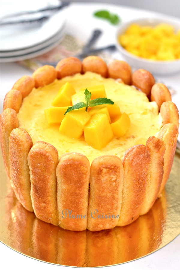 Charlotte-mangue-facile-recette
